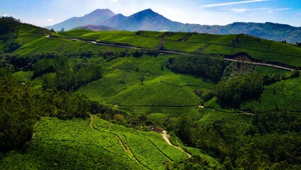 Obraz premium Aerial view of roads through a green forest