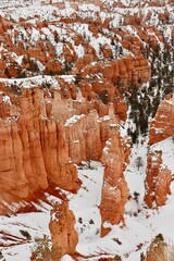 Vertical shot of the scenic stone formations covered in snow in Bryce Canyon, Utah