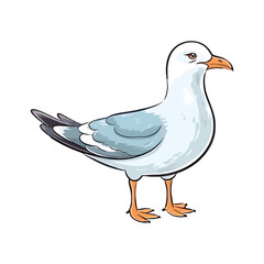 Obraz premium Cheerful Gull: Lively 2D Illustration Brimming with Avian Cuteness
