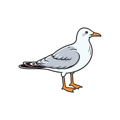 Obraz premium Cheerful Gull: Lively 2D Illustration Brimming with Avian Cuteness