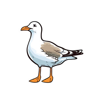 Cheerful Gull: Lively 2D Illustration Brimming with Avian Cuteness