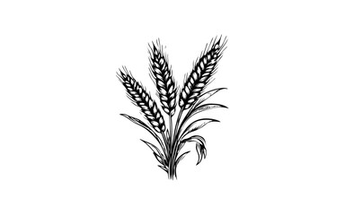 WHEAT shape isolated illustration with black and white style.

