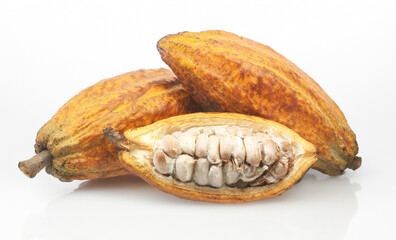 Cocoa fruits or Cacao fruits isolated on white background
