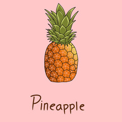 Digital illustration icon of Pineapple fresh fruit on pink background