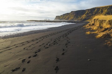 Footprints on a wet sandy beach during the daytime