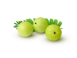 Indian gooseberry Phyllanthus emblica amla fruits green transparent background