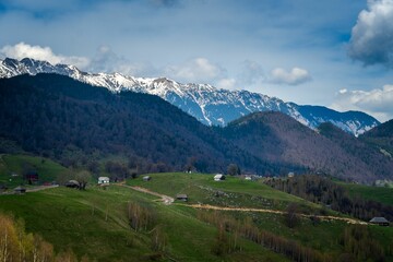 Aerial view of a beautiful forest near the mountains