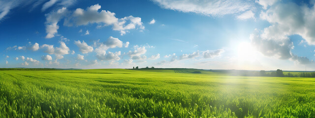 Obraz na płótnie Canvas Beautiful panoramic natural landscape of a green field with grass against a blue sky with sun. Bright sunny day over green grass field and blue sky. Generative AI.