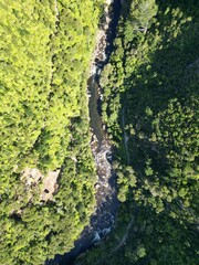 Aerial view of a river meandering through a lush green forest