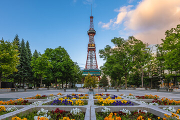 Sapporo TV Tower at Odori Park, in Sapporo, Hokkaido, Japan - obrazy, fototapety, plakaty