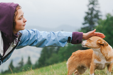 Teenage girl petting shepherd dog  on pasture