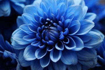 Plakat Beautiful blue flowers, close-up. Generative AI