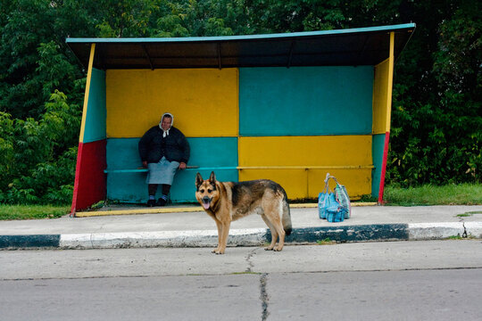 waiting on bus stop 