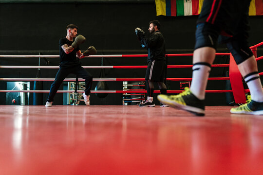 Male boxer training punches with trainer