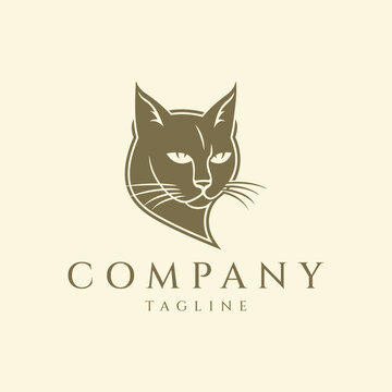 Cat logo design vector illustration