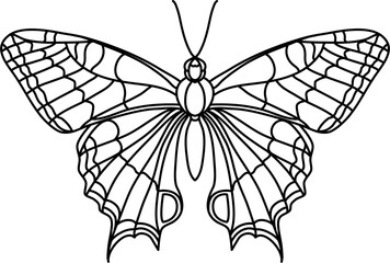 Beautiful Butterfly Outline Illustration Vector