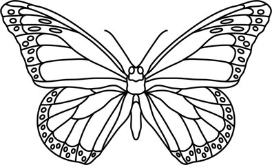 Wing Butterfly Outline Illustration Vector