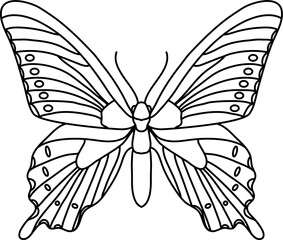 Animal Butterfly Outline Illustration Vector