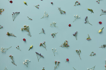 Beautiful pattern of scattered flowers and plants.