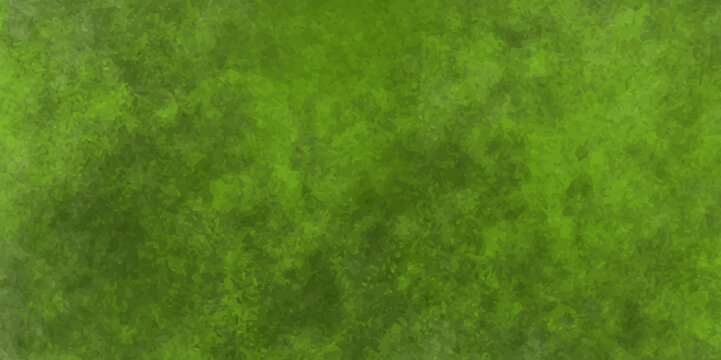 colourfull  Green grass taxture background.and green pepers