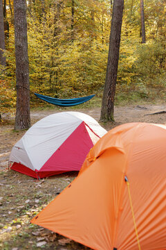 Tent camping woodland nature shelter area