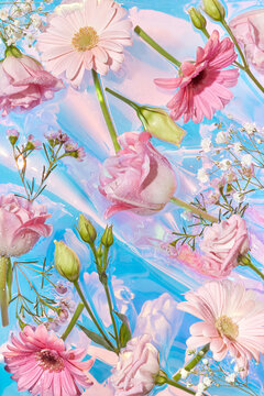 Beautiful pink flowers against gradient water background.