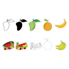 the fruits icon vector illustration design