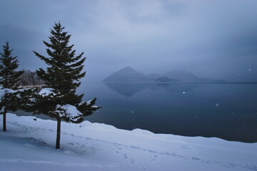 Fototapete bei efototapeten.de bestellen   