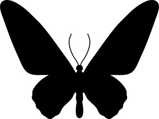 Insect Butterfly Silhouette Illustration Vector