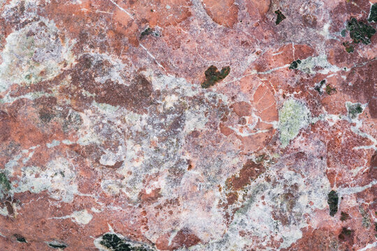 Red Granite Fossil Organic Stone Patterns Texture