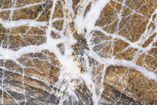 Orange Lines Abstract Granite Feldspar Stone Patterns Texture