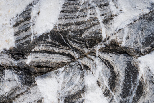 Abstract Organic Gneiss Stone Patterns Texture