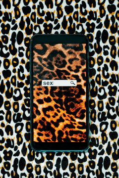 sex on the screen of a smartphone