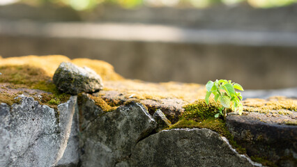 Old concrete wall texture picture