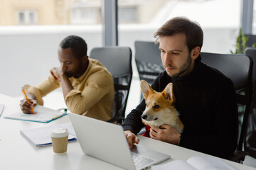 Office pet companion job owner computer