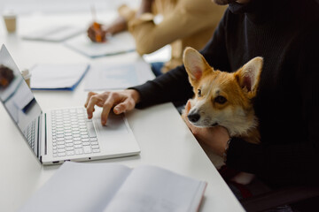 Anonymous office pet computer worker companion job