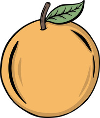 illustration of an orange fruit