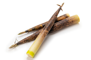 真竹、タケノコ