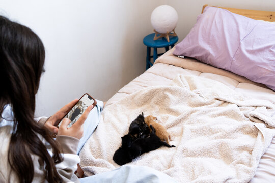 teen girl recording a video with phone to newborns Kittens at bed 