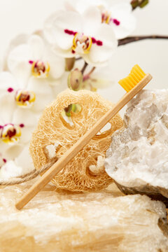 Natural bamboo toothbrush and sponge