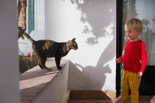 boy play with cat