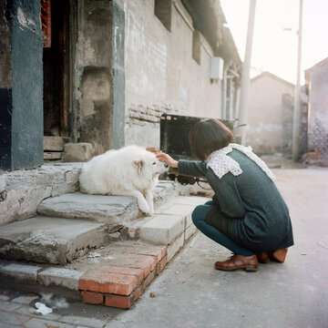 A woman is touching the head of a white dog
