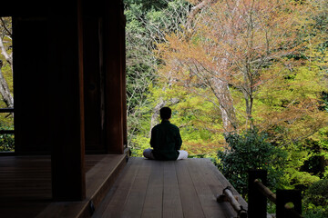 Meditation in front of the maple tree forest