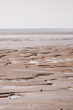 Low tide mudflats, The Wash, UK