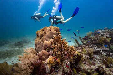 Couple Scuba Diving on Colorful Tropical Coral Reef in Cancun Mexico