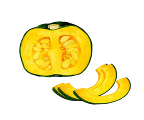 半分＆半月切りにカットした西洋かぼちゃ　夏野菜の手描き水彩イラスト素材
