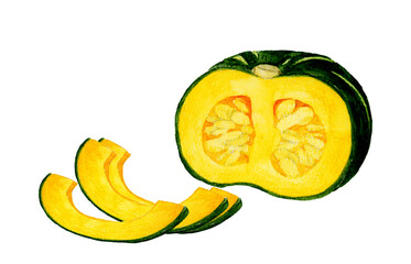半分＆半月切りにカットした西洋かぼちゃ　夏野菜の手描き水彩イラスト素材