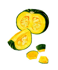 カットした西洋かぼちゃ　夏野菜の手描き水彩イラスト素材