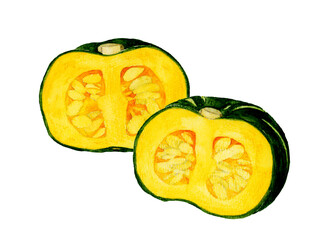 半分にカットした西洋かぼちゃ　夏野菜の手描き水彩イラスト素材