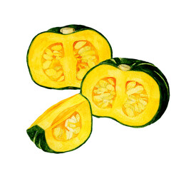 カットした西洋かぼちゃ　夏野菜の手描き水彩イラスト素材